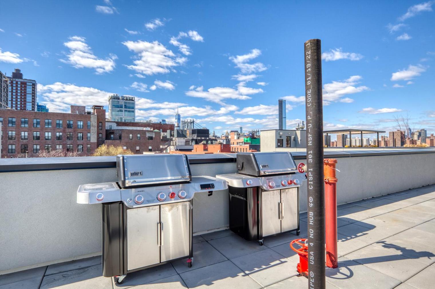 Dumbo 1br W Gym Roof Nr Timeout Building Nyc-958 *